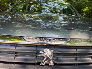 /photos/11729/7c1e71b8-2e43-498c-9b19-215d78d7380a_i320x240.jpg